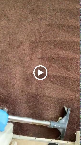 Carpetzoom