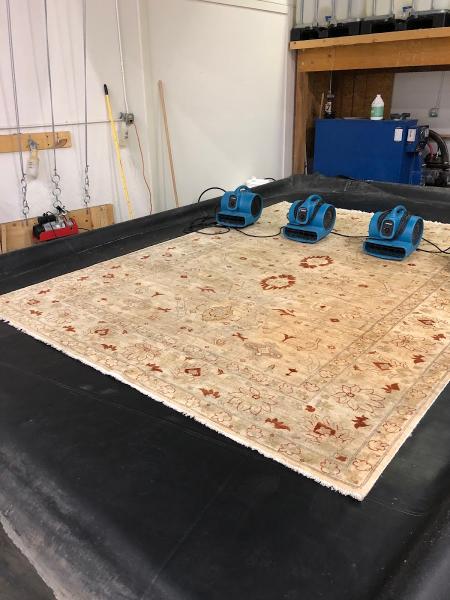Bear Oriental Rug Cleaning