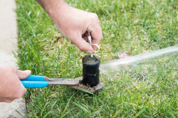 Top Notch Sprinklers