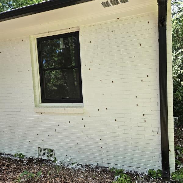 Healthy Home Pest Solutions