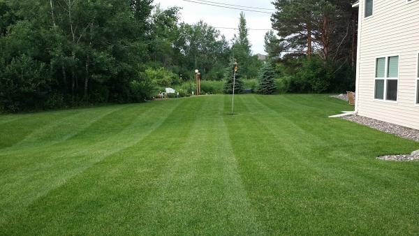 Strausser Property Services Inc