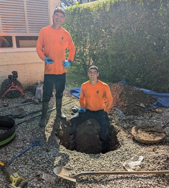 Alligator Septic