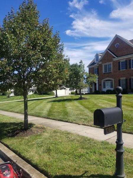 Desper & Son's Ground FX Lawn & Landscaping