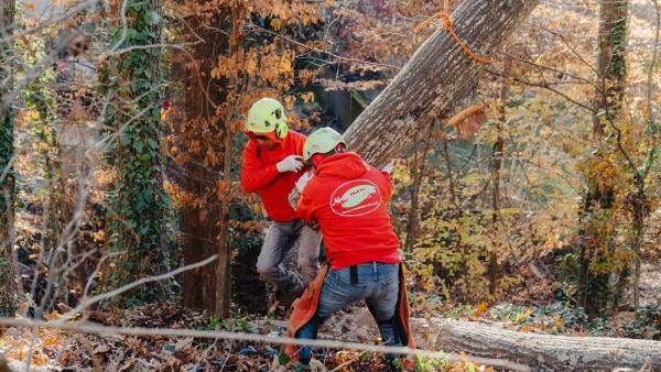 Northside Tree Professionals