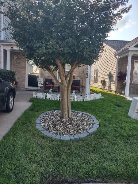TA Landscaping Services