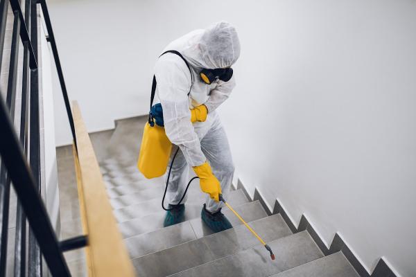 Dial A Bug Pest Control