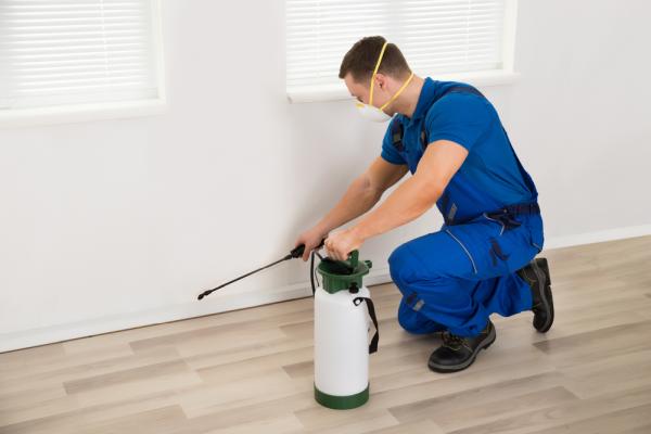 Dial A Bug Pest Control