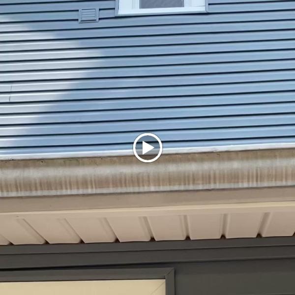 Proclean Pressure Washing