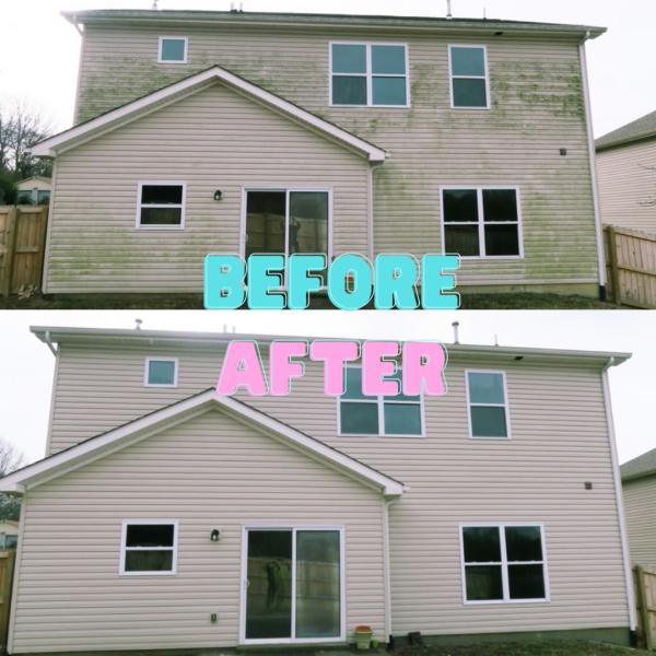 Proclean Pressure Washing