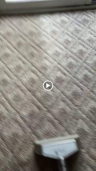 Elite Carpet & Upholstery Cleaning Service
