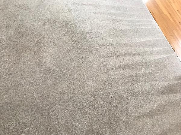 Elite Carpet & Upholstery Cleaning Service