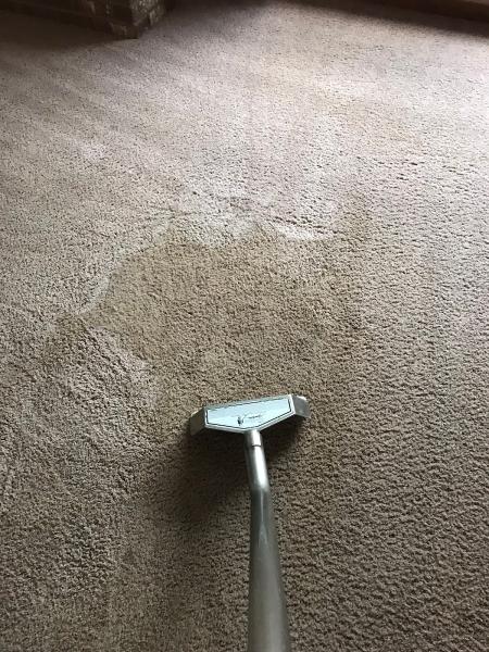 Elite Carpet & Upholstery Cleaning Service