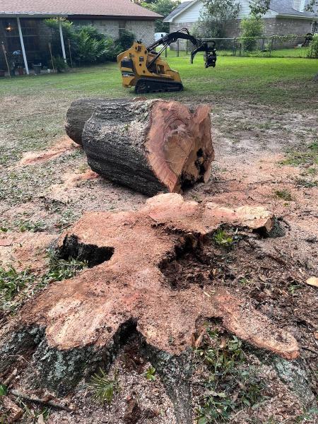 Evergreen Tree Service