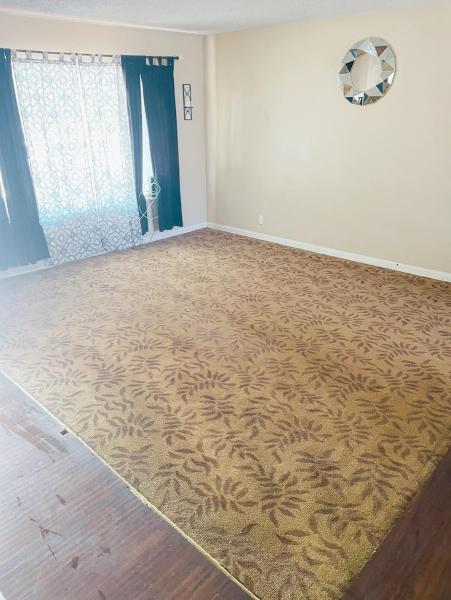 Yayitos Carpet Cleaning