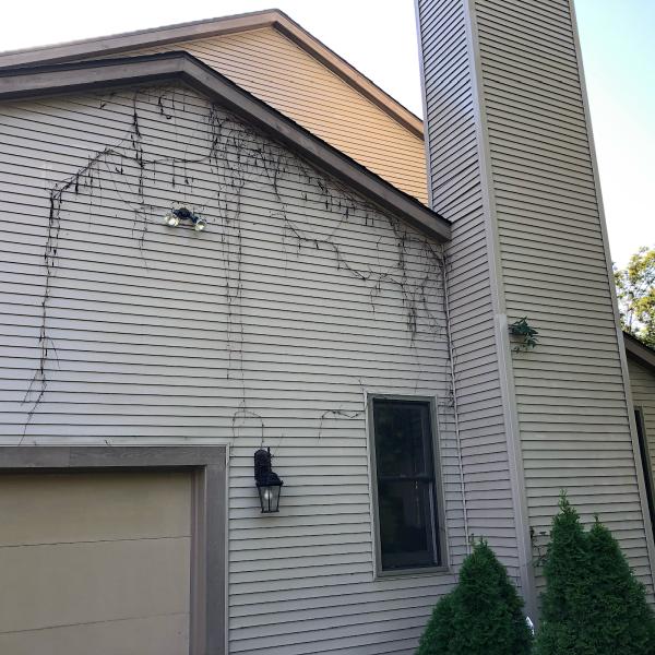 Pro Tek Power Washing