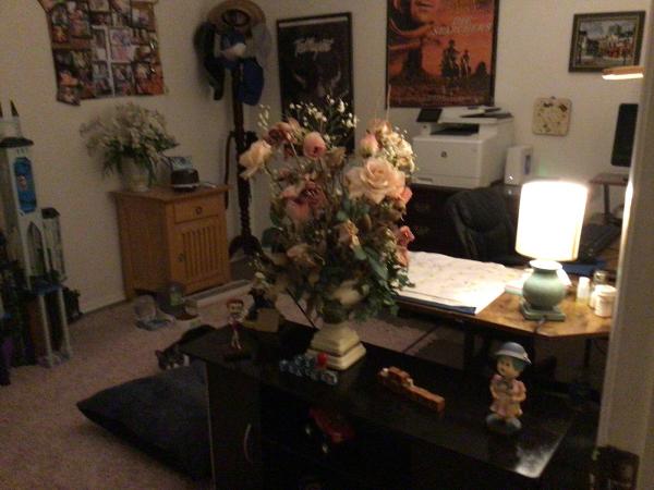 Lovely Living Cleaning