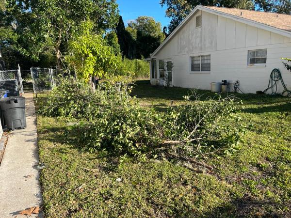 Titan Junk Removal & Hauling LLC