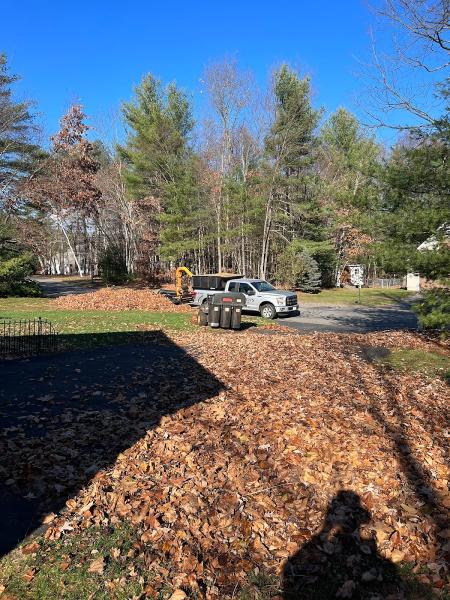 Brayden's Landscaping