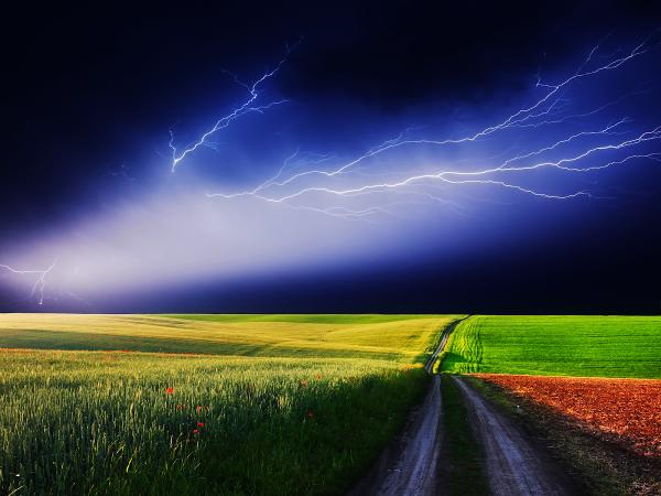 Apex Electrical Service Llc.