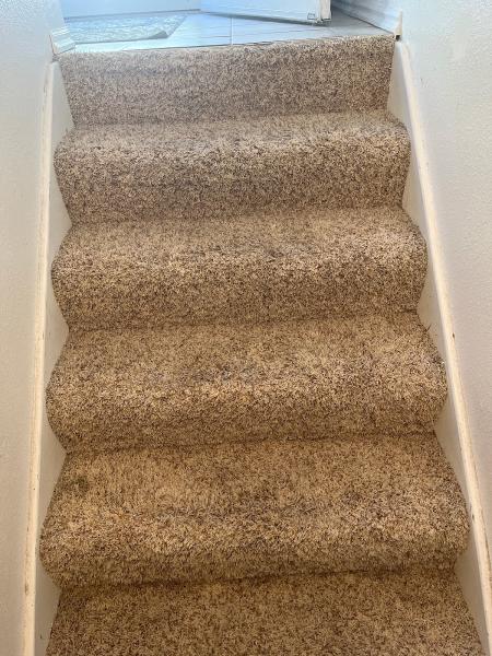 Scott's Carpet & Upholstery Cleaning