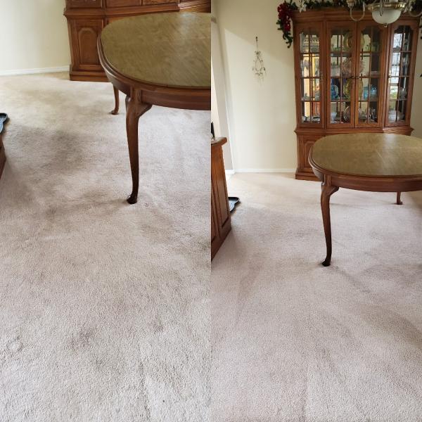 Professional Carpet Systems