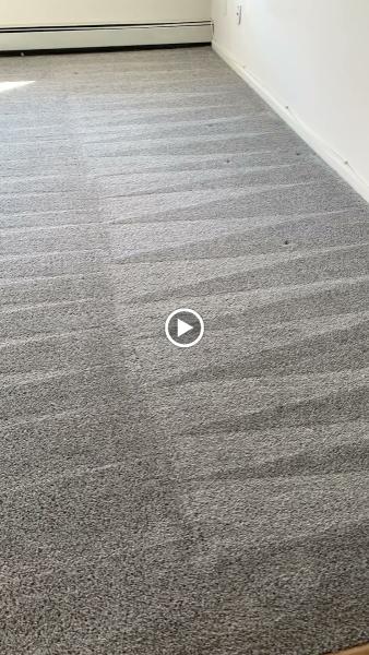 Professional Carpet Systems