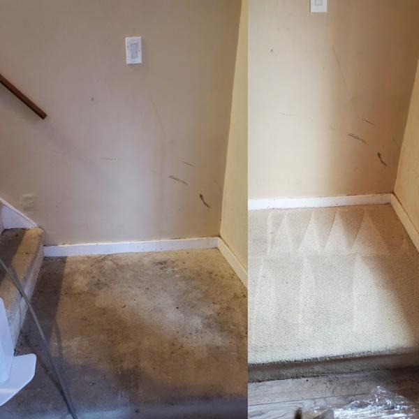 Professional Carpet Systems