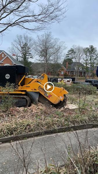 Mario's Stump Grinding & Tree Service LLC