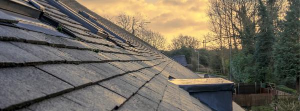 Morning Light Roof Repair