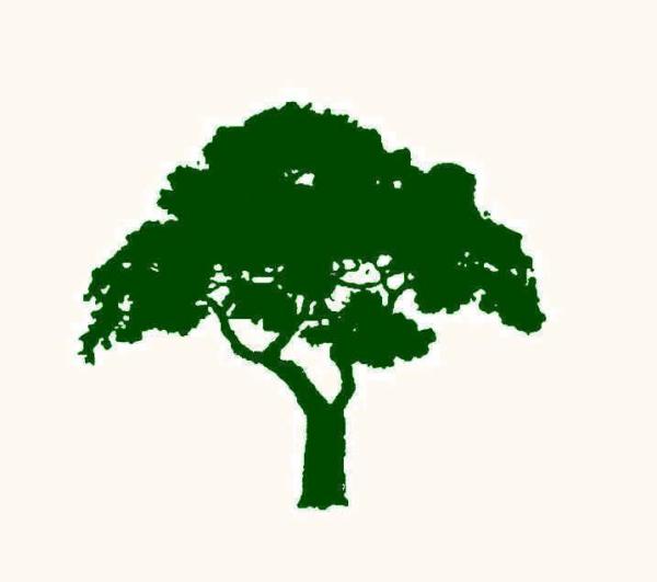 Ground Effects Site Service