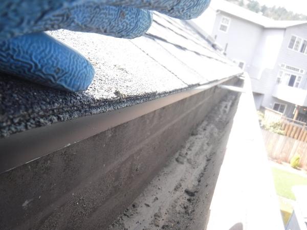 Ability Plus Roofing