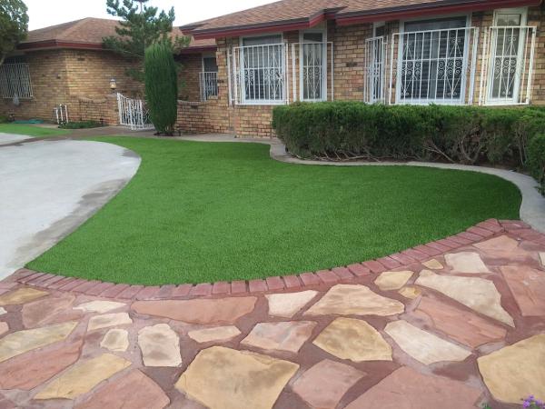 Daniel's Tree & Landscaping