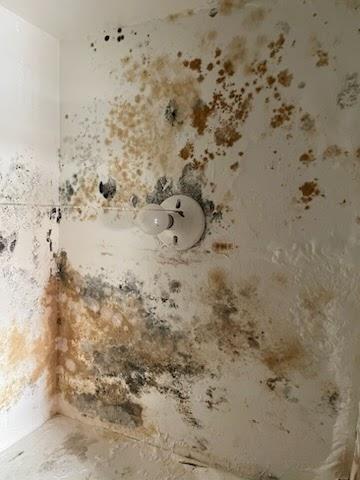 Allpro Environmental Services