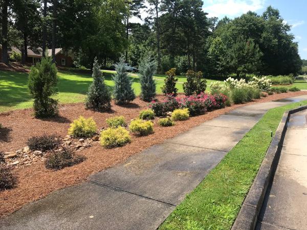 McBrayer Landscapes