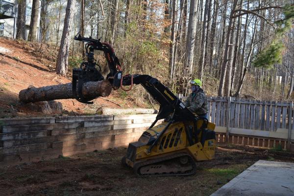 Star Tree Service Atlanta