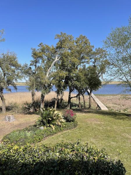 Brinker Tree and Land Service
