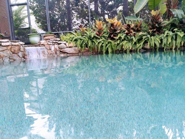 Seeblu Pool Services