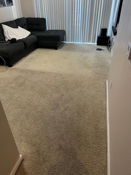 The DRY Carpet Cleaner