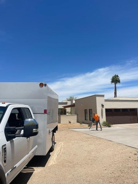 TDR Tree Solutions