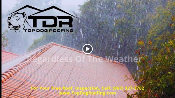 Top Dog Roofing