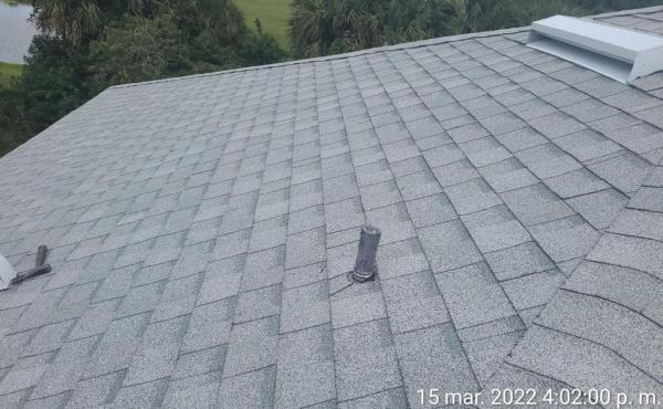 Top Dog Roofing