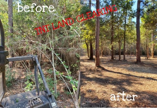 TNT Land Clearing