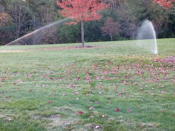 Perea Lawn Sprinkler