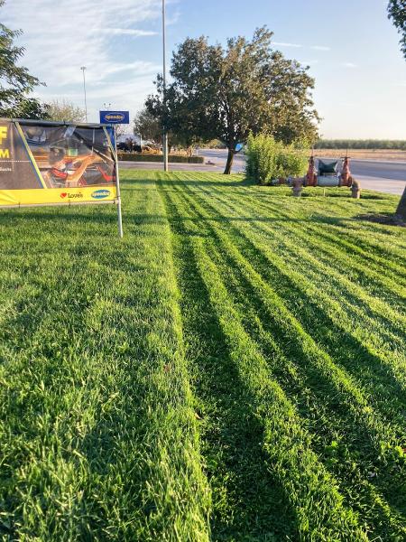 Let's Mow It