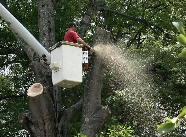 Penny's Roofing & Tree Service