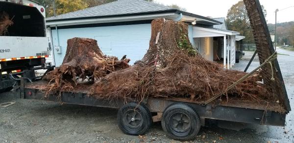 Penny's Roofing & Tree Service