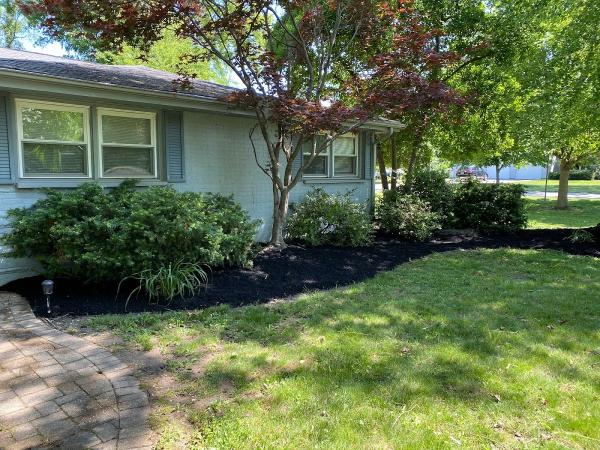 1st Choice Lawn Care