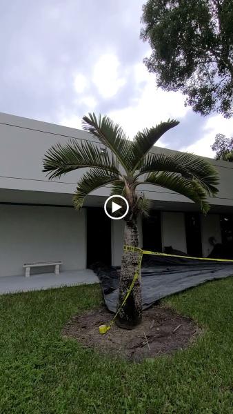 Miami Fresh Renovations