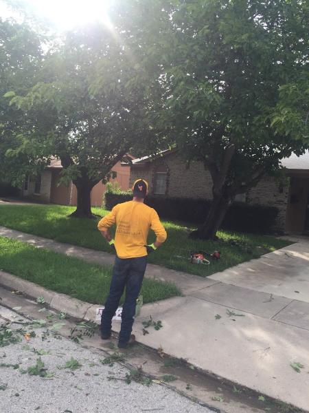 Home Brewed Tree Service