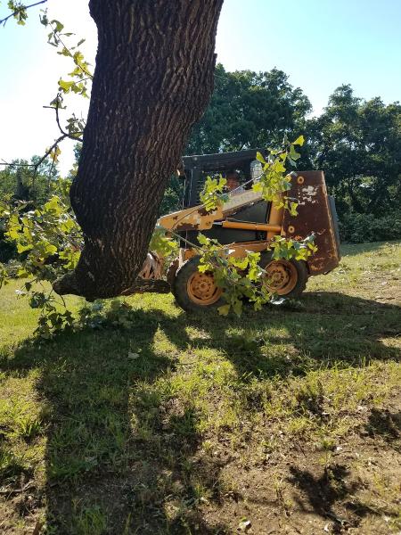 Home Brewed Tree Service